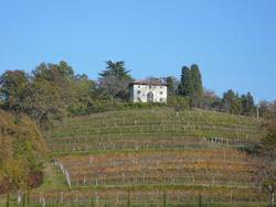 Casino di caccia - Villa Beria Manzano